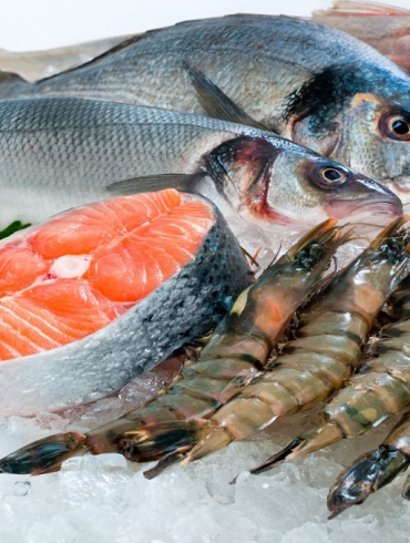 Thiết kế lắp đặt kho lạnh bảo quản hải sản