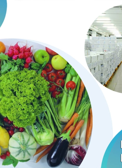 Chi phí lắp đặt và vận hành kho lạnh nông sản là bao nhiêu?