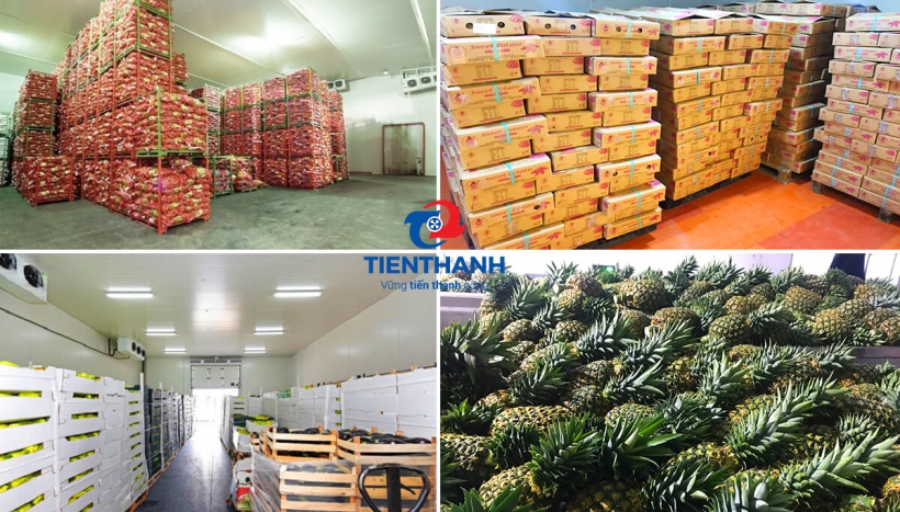 Quy trình vệ sinh và khử trùng kho lạnh được thực hiện như thế nào để đảm bảo vệ sinh thực phẩm?