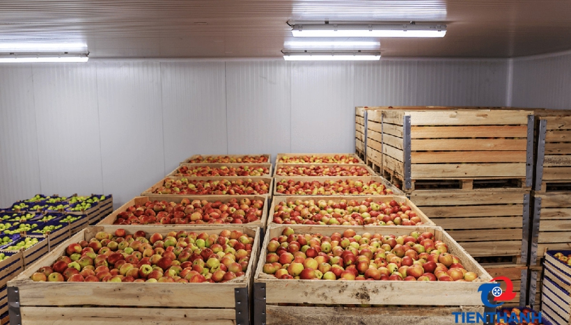 Kho lạnh bảo quản nông sản cần có điều kiện môi trường như thế nào?