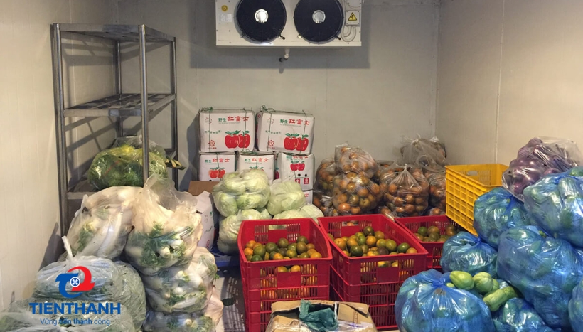 Kích thước kho lạnh cần thiết để đáp ứng nhu cầu lưu trữ thực phẩm